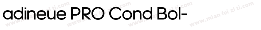 adineue PRO Cond Bol字体转换